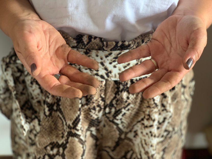 conexão com a natureza